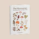 FREE Mushroom Education Guide
